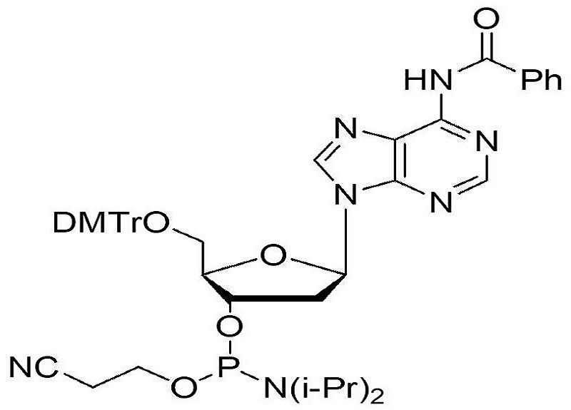5'-ODMT N-Bz deoxyadenosine amidite  